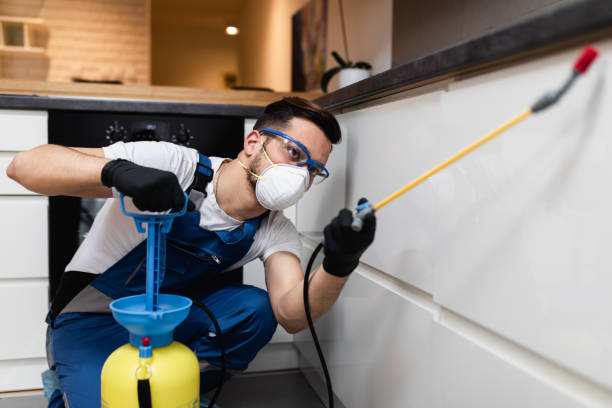 Best Best Pest Control Companies  in Beale Af, CA