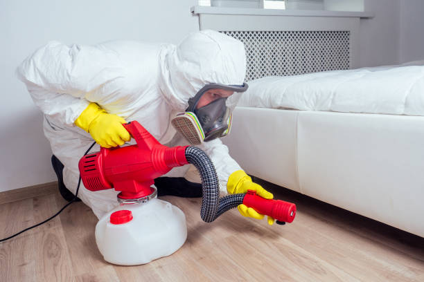 Best Pest Inspection Near Me  in Beale Af, CA