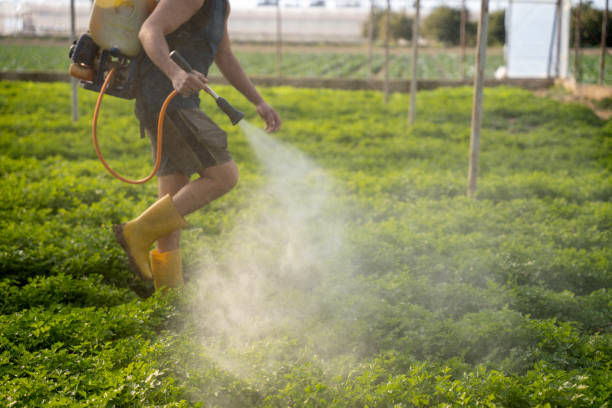 Best Local Pest Control Services  in Beale Af, CA