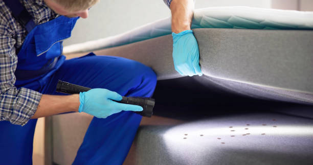 Best Pest Control for Restaurants  in Beale Af, CA