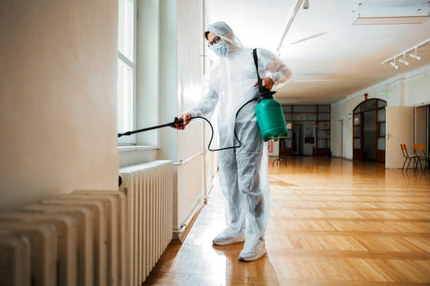Best Affordable Pest Control Services  in Beale Af, CA