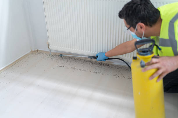 Best Best Pest Control Companies  in Beale Af, CA