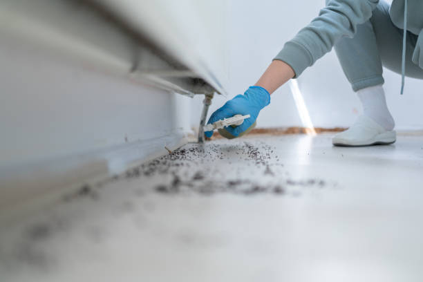 Best Pest Removal Services  in Beale Af, CA